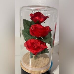 Red Rose Display in Glass Dome